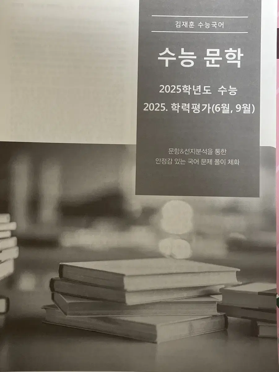 시대인재 국어 김재훈 2025분석서